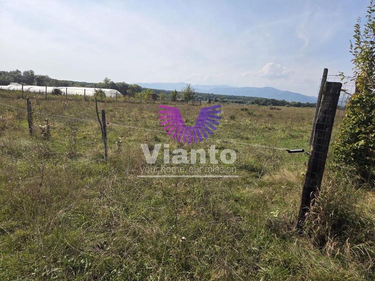 Teren agricol extravilan de 1500 mp, în Șelimbăr