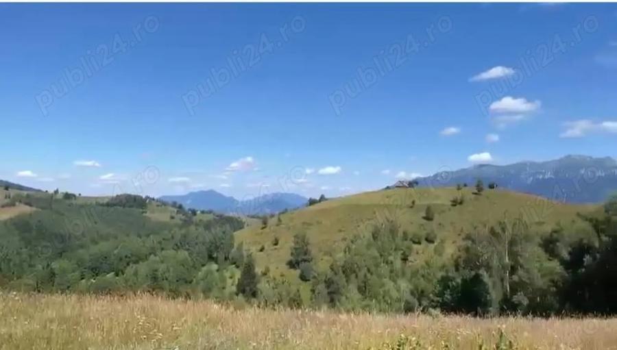 Teren de 46050 mp, în Șirnea