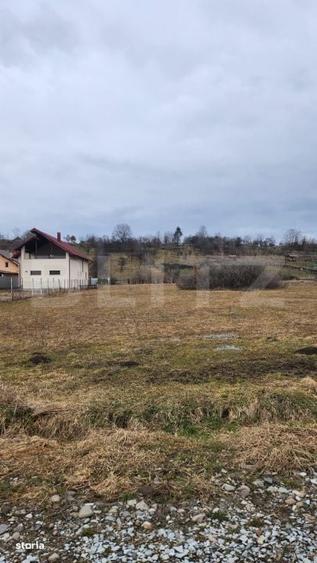 Teren intravilan,comuna Livezile,ocazie buna de investitie! - 1