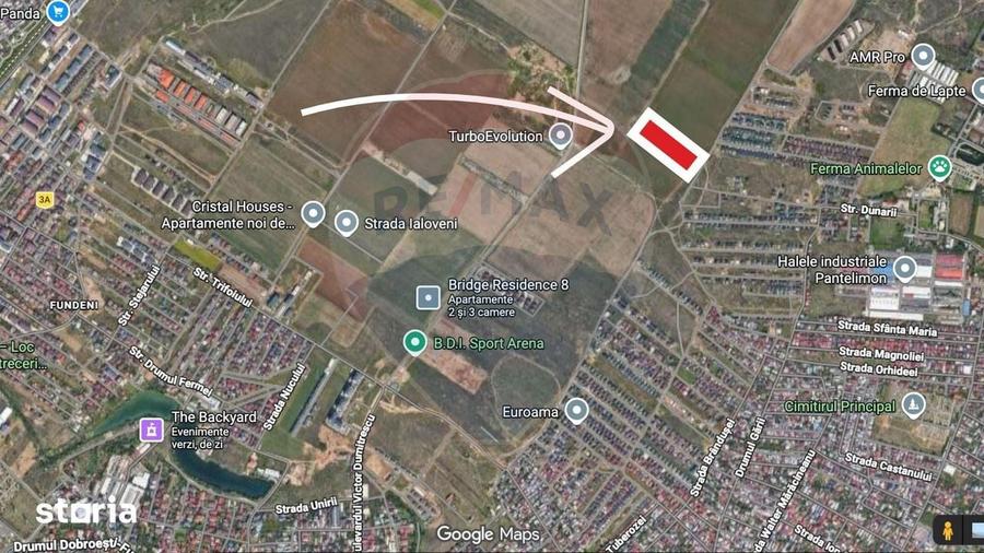 Teren 5,000mp Dobroesti / None - 10