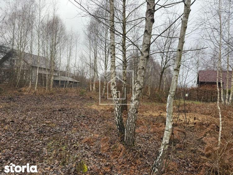 Teren intravilan 520 mp Valea Avrigului ideal cabana A-frame - 1