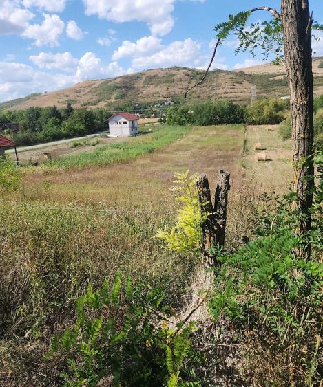 Teren de 2900 mp, în Căianu