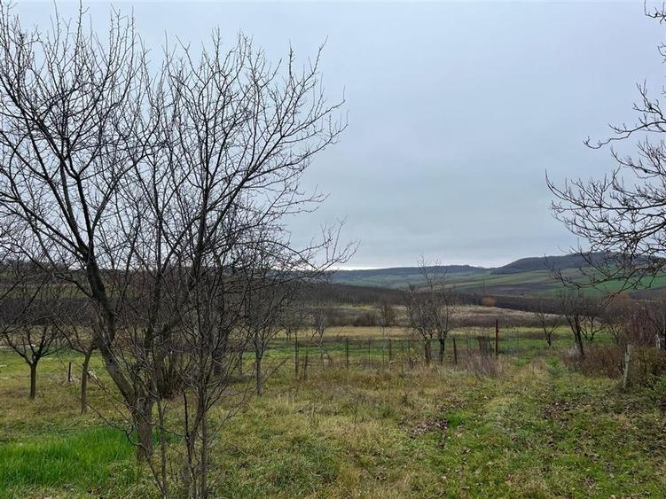 Teren Construcții intravilan de 500 mp, în Hidișelu de Sus