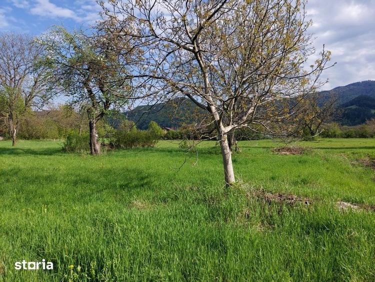 Teren de 1240 mp, în Alexandru cel Bun