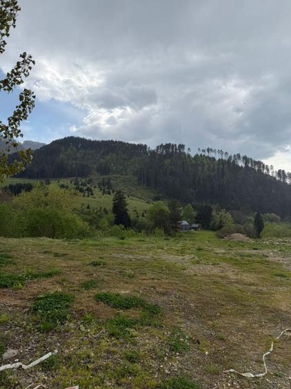 Teren, 500 mp, Sacele, str. Morii, priveliste spre Brasov - 3