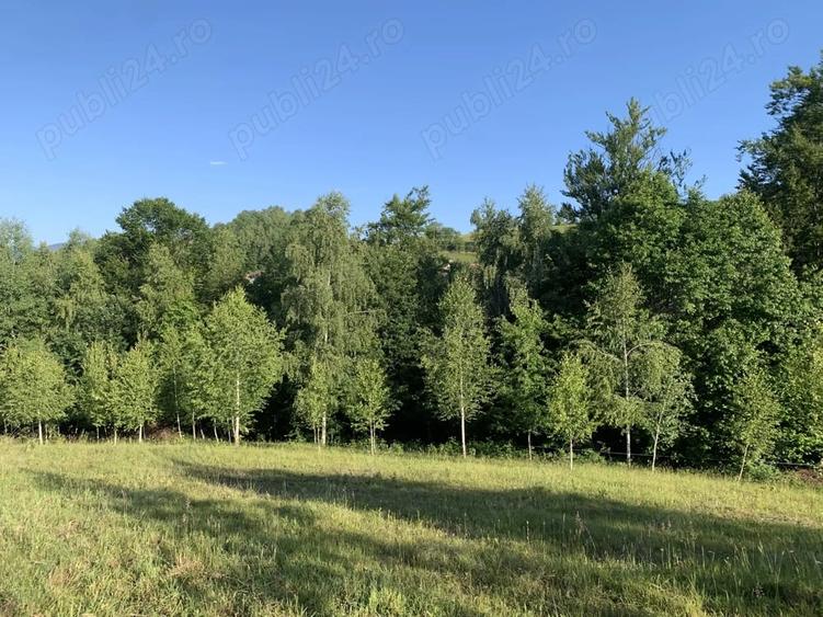 Teren de 4069 mp, în Poiana Mărului