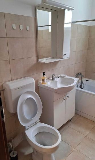 Garsonieră în Metalurgiei