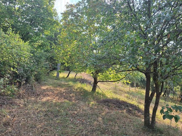 Teren de 2880 mp, în Mustești