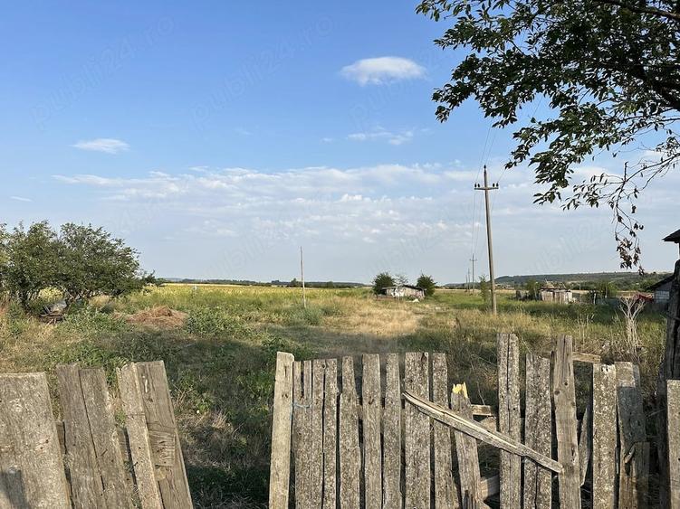 Teren de 4000 mp, în Scăești