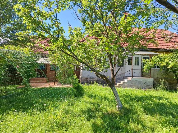 Casa + teren de vanzare in Brad, Hunedoara proprietar - 8