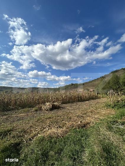 Teren de 9660 mp, în Jucu