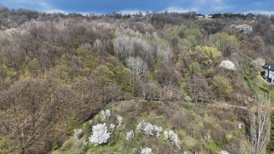 Teren Construcții intravilan de 4654 mp, în Cornu de Jos (Cornu)
