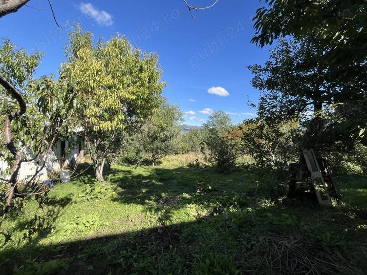 Casă cu 6 camere cu Teren 2000 Mp în Central