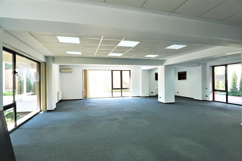 Birou, de 200 mp, în Cișmigiu