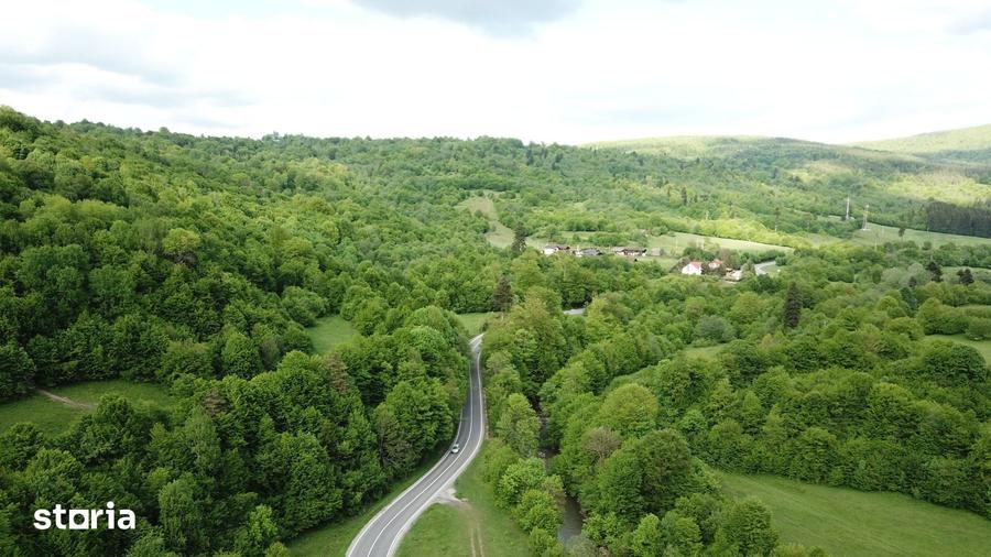Teren de 4000 mp, în Babarunca