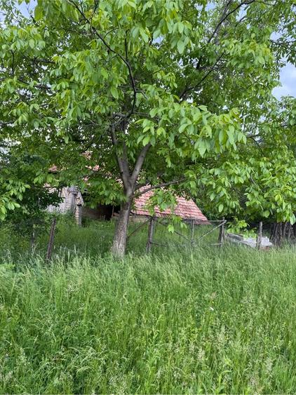 Teren de 4000 mp, în Ștubeiu