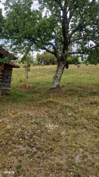 Teren de 26034 mp, în Bulz