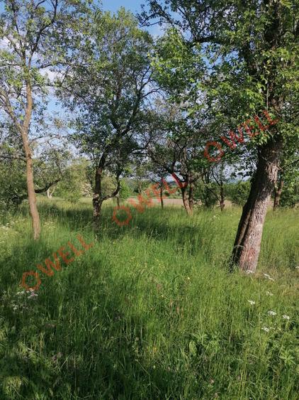 Teren Construcții intravilan de 8079 mp, în Târgu Secuiesc