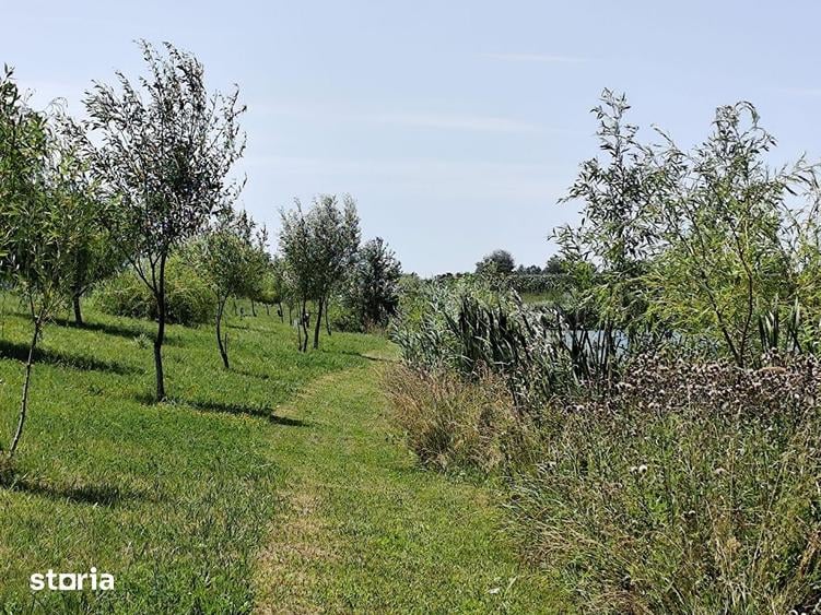 Balta de Pescuit, Cabana din Busteni, Teren 6,37 ha, langa Oradea - 2