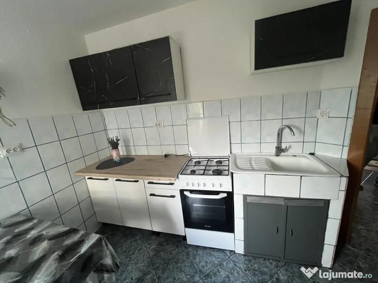 Apartament cu doua camere Aradului - 8