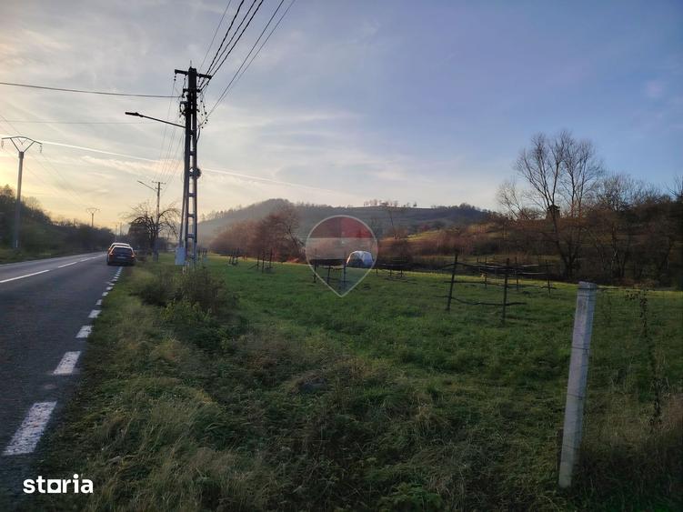 Teren de 2619 mp, în Bârsana