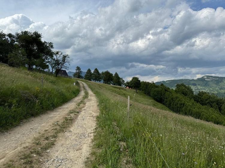 Teren Construcții extravilan de 5392 mp, în Peștera