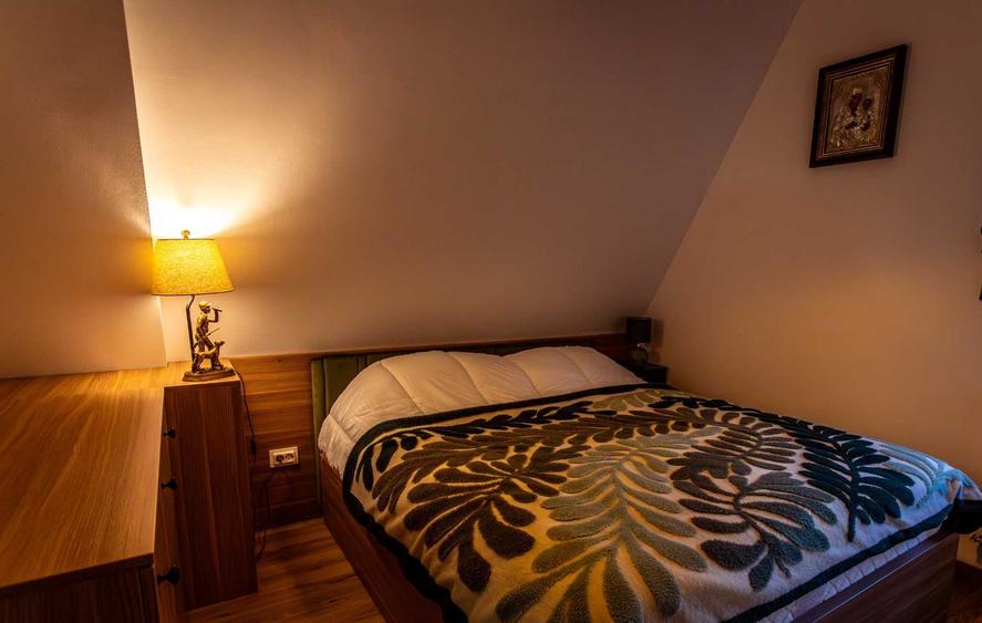 Casă cu 4 camere cu Teren 45000 Mp în Șinca