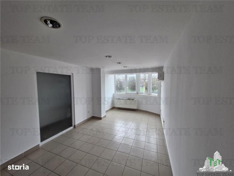 Spațiu comercial, de 410 mp, în Delfinariu