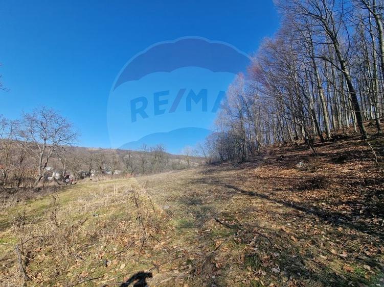 Teren Construcții intravilan de 4985 mp, în Sascut