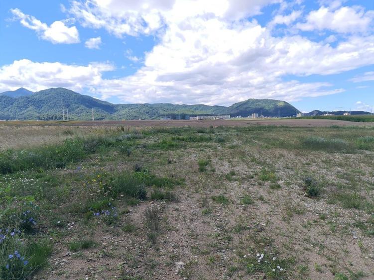 Teren Construcții intravilan de 7348 mp, în Triaj