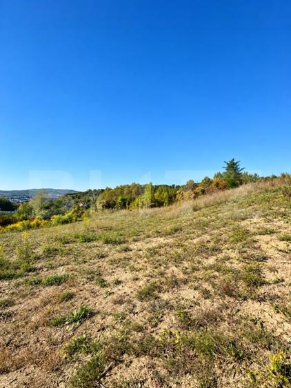 Teren Construcții intravilan de 650 mp, în Nord-Est