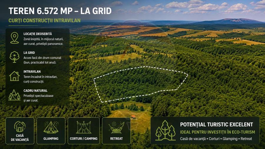 Teren Construcții intravilan de 6572 mp, în Grid