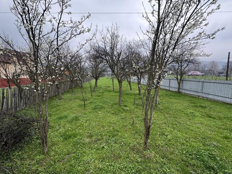 Spațiu comercial, în Dărmăneasca