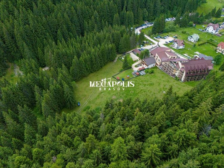 Teren Construcții intravilan de 12307 mp, în Moieciu de Sus