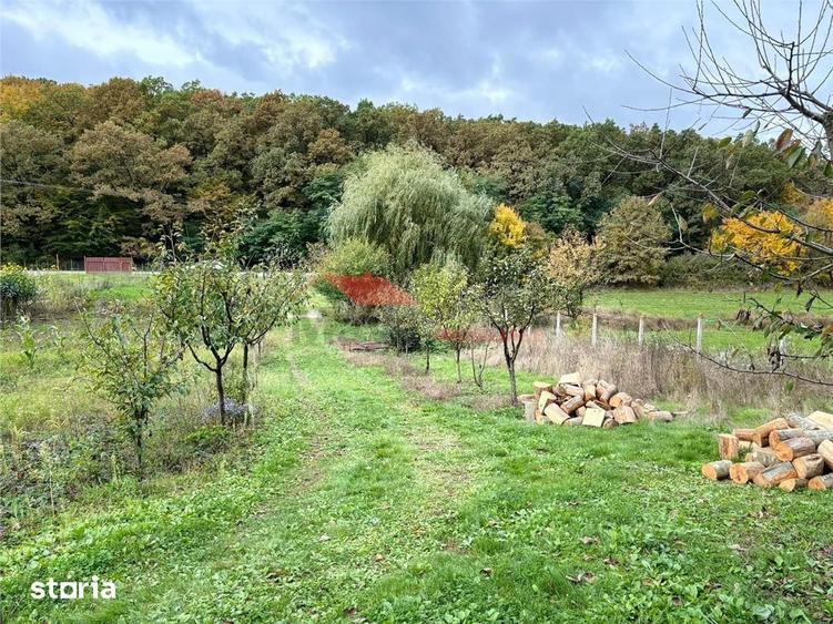 Casă cu 3 camere cu Teren 1700 Mp în Central