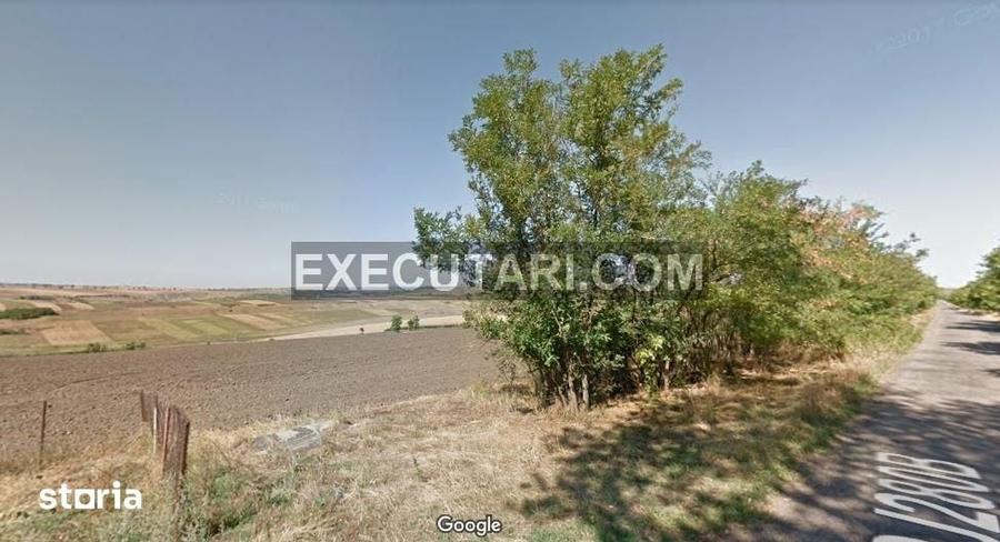 Teren intravilan arabil 40.000 m2, Targu Frumos - Iasi - 4