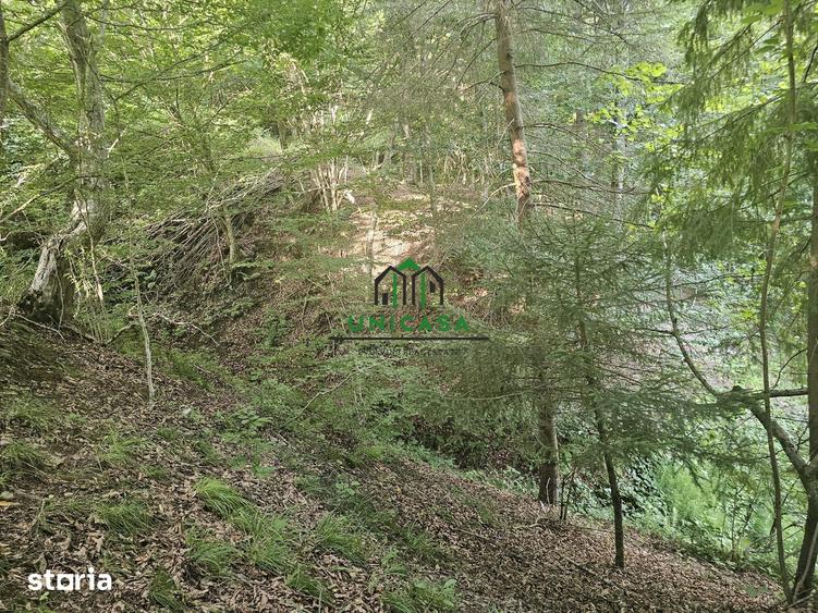 Teren de 3903 mp, în Brezoi