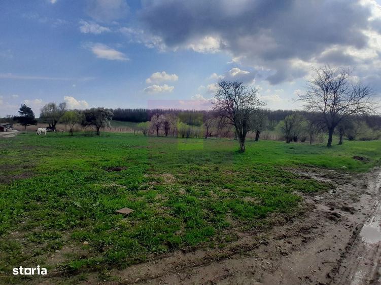 Spațiu comercial, în Buturugeni