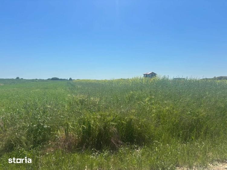 Loturi teren 500 m P+1+M Berceni - Vidra Actele la zi Puz valabil - 7