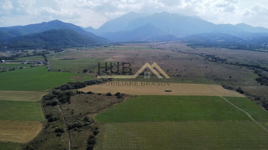 Teren Construcții extravilan de 29300 mp, în Pănicel