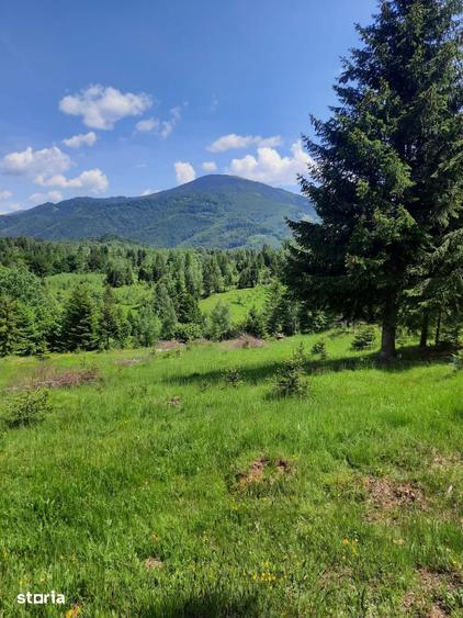 Teren de 15000 mp, în Uric