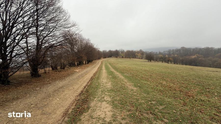 Teren de 35000 mp, în Central