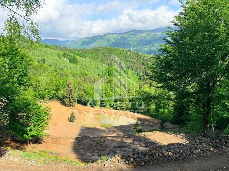 Teren de 18000 mp, în Central
