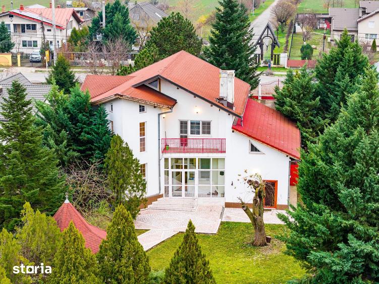 Vanzare vila cu piscina Snagov - Ciofliceni, teren 2649mp - 14