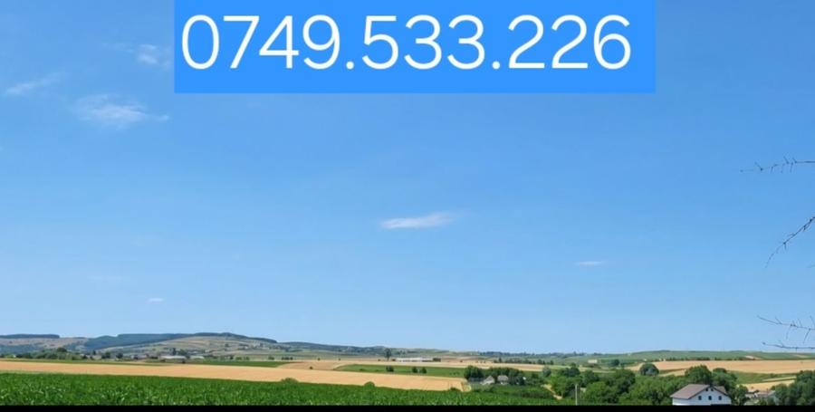 Vand TEREN 6 HECTARE intravilan Zvorastea Suceava - 1