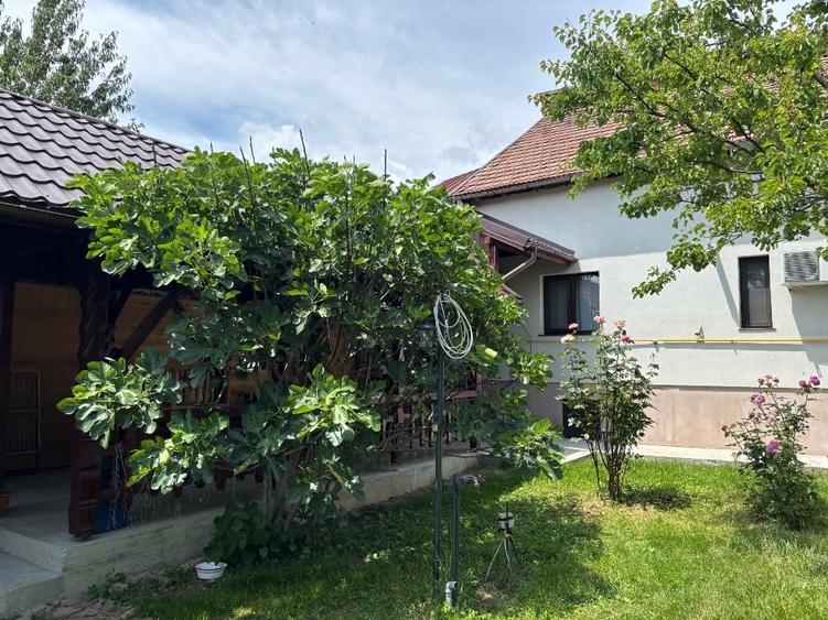 Casă individuală cu 3 camere cu Teren 986 Mp în Jiblea Veche