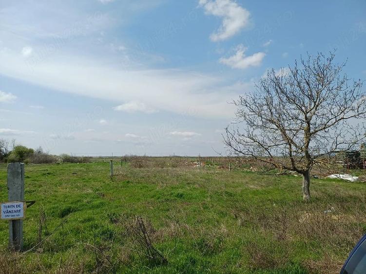 Teren de 1000 mp, în Central