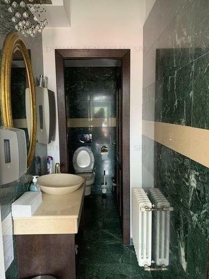 Birou, de 440 mp, în Cișmigiu