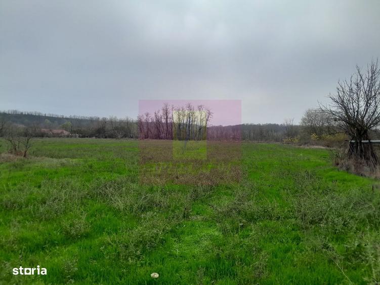 Casă cu 3 camere cu Canalizare în Bărcănești