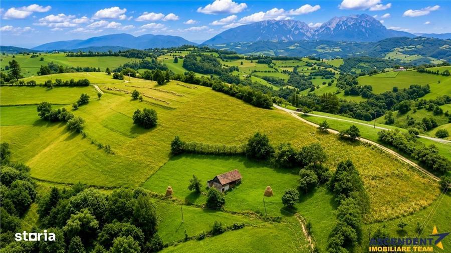 Spațiu comercial, în Poiana Mărului